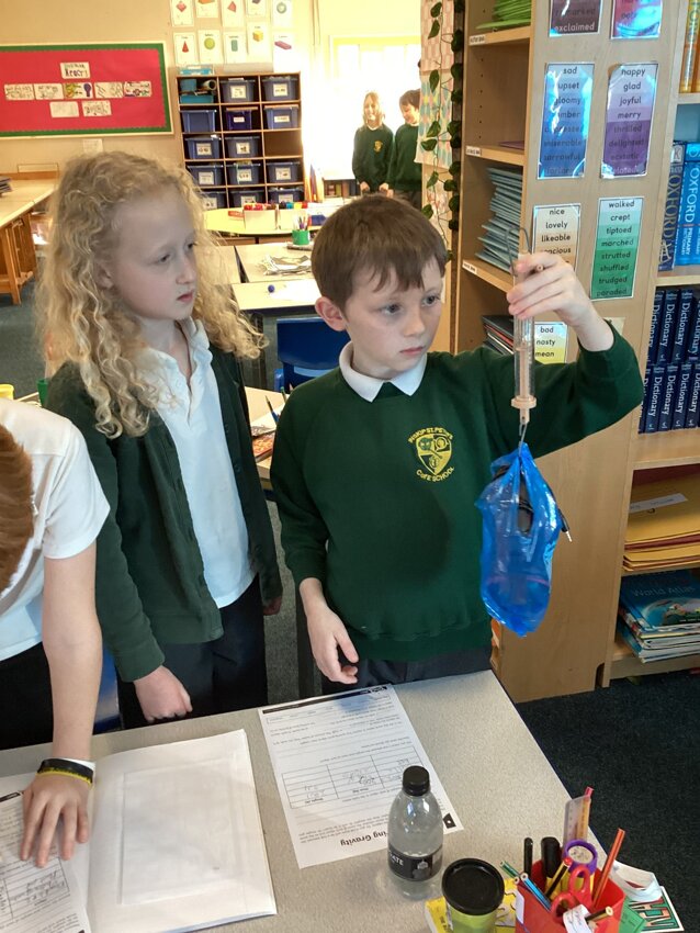 Image of Science- measuring objects in Newtons and Kilograms
