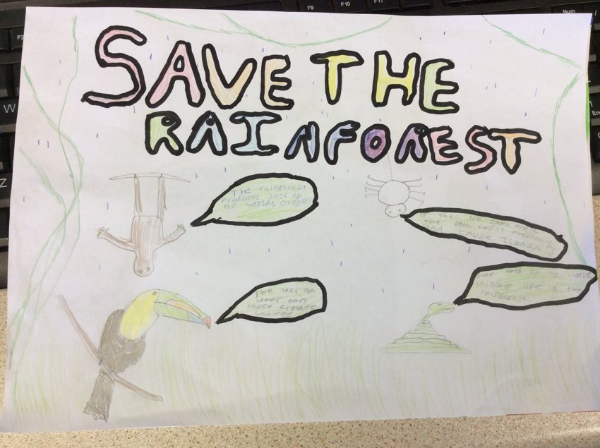 Image of Rainforest Posters
