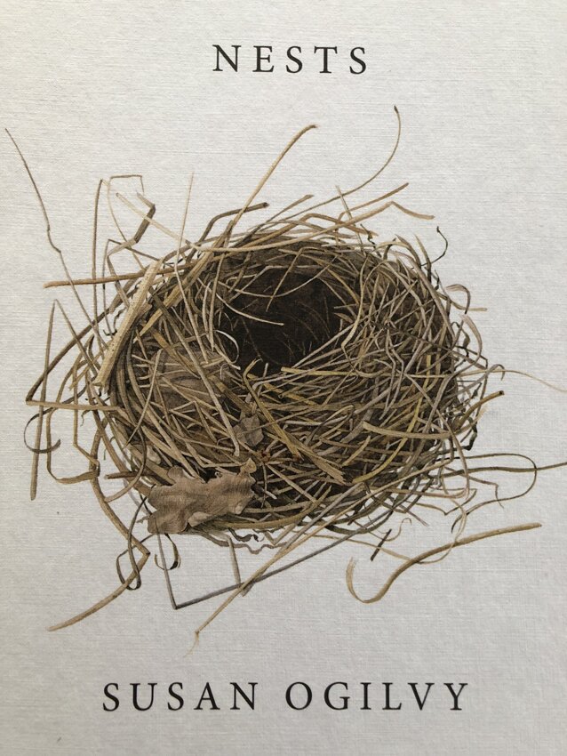 Image of Art- Watercolour Nests. 