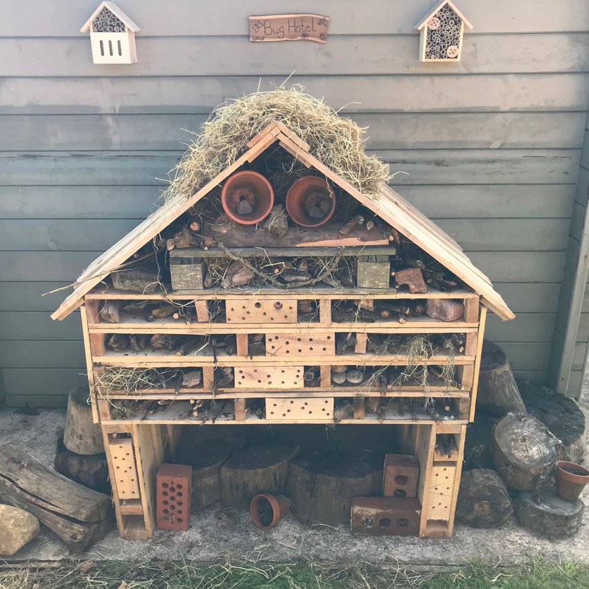Image of Our new bug hotel